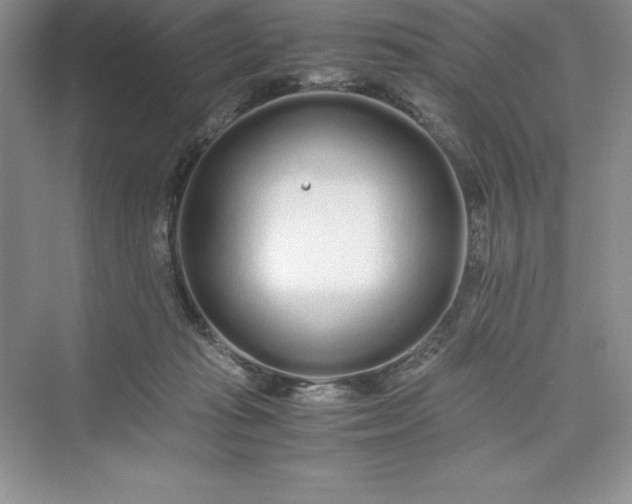 X0000075410269200609251052