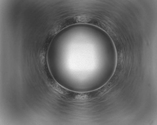 X0000075410271200609251052