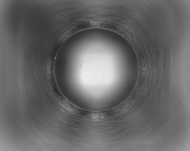 X0000075410275200609251052