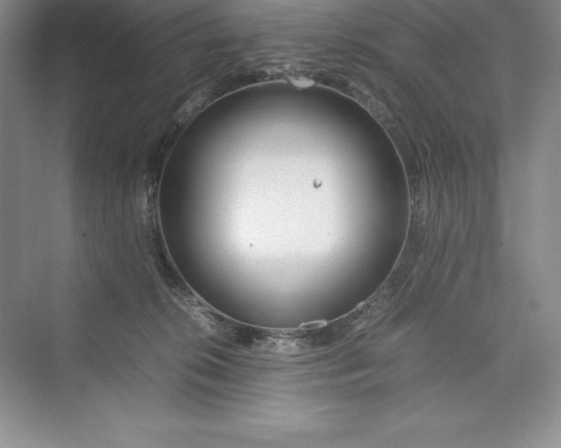 X0000075410276200609251052