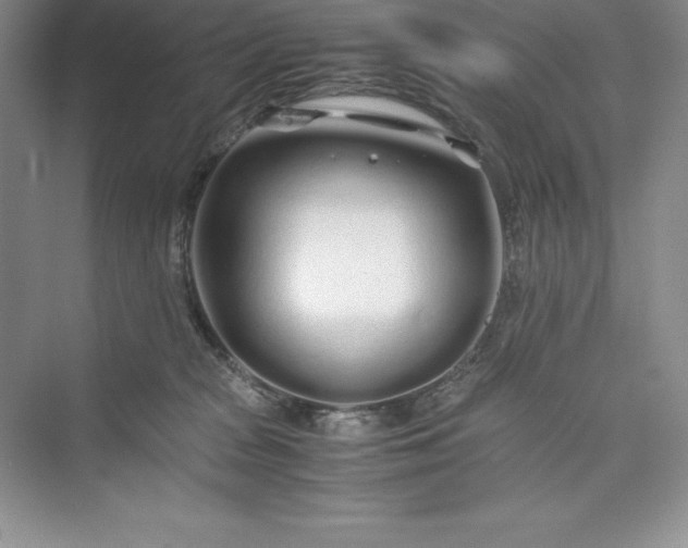 X0000075410277200609251052