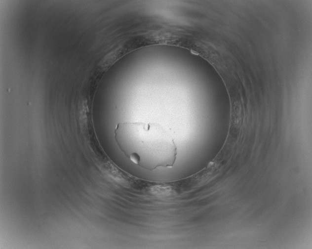 X0000075410279200609251052