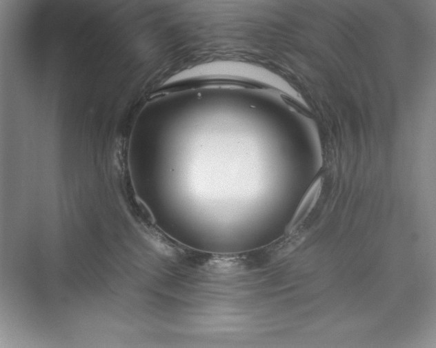 X0000075410280200609251052