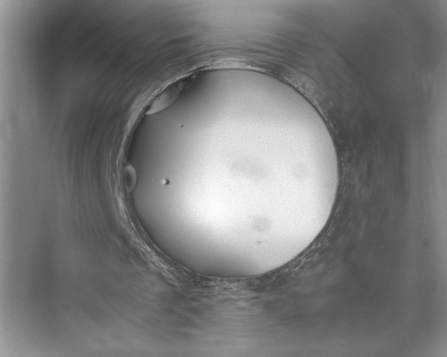 X0000075410289200609251051