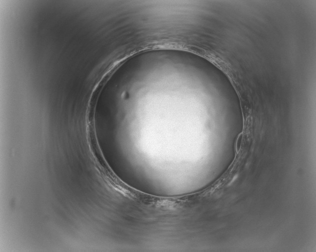 X0000075410290200609251051