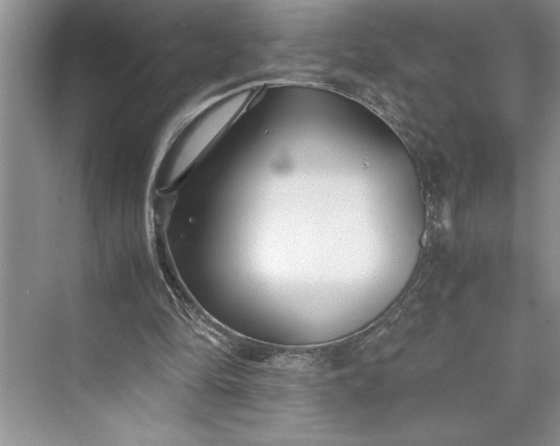 X0000075410294200609251051