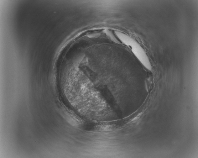 X0000075410295200609251051