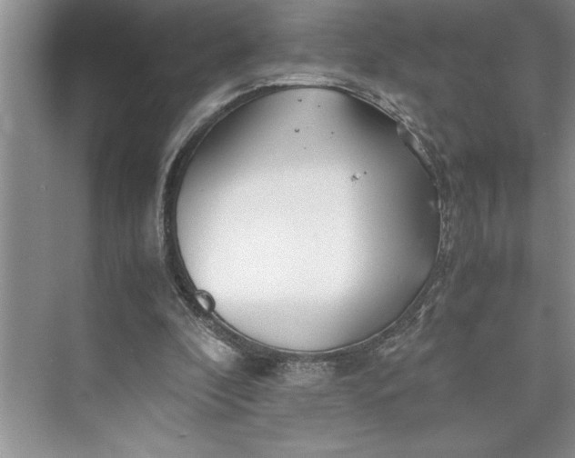 X0000075410296200609251051