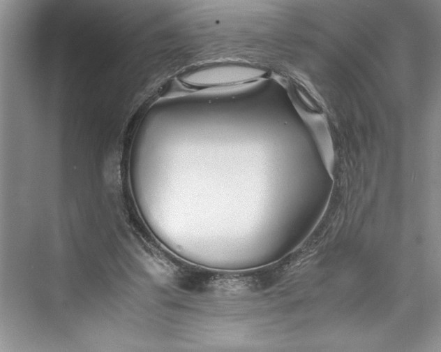 X0000075410299200609251051