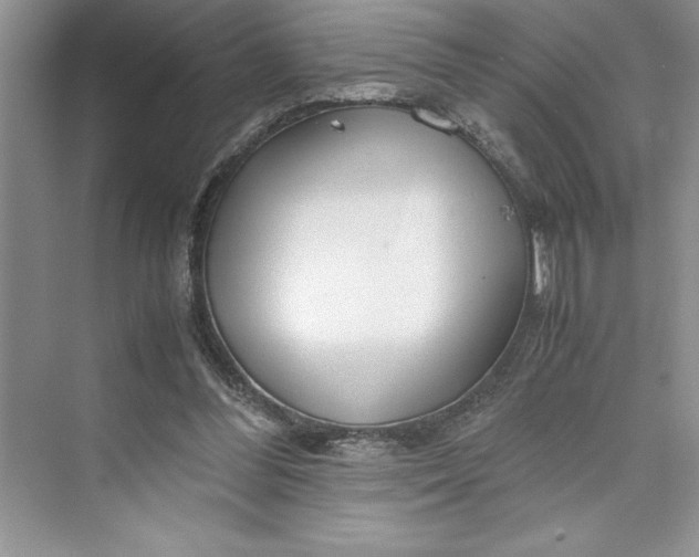 X0000075410300200609251051