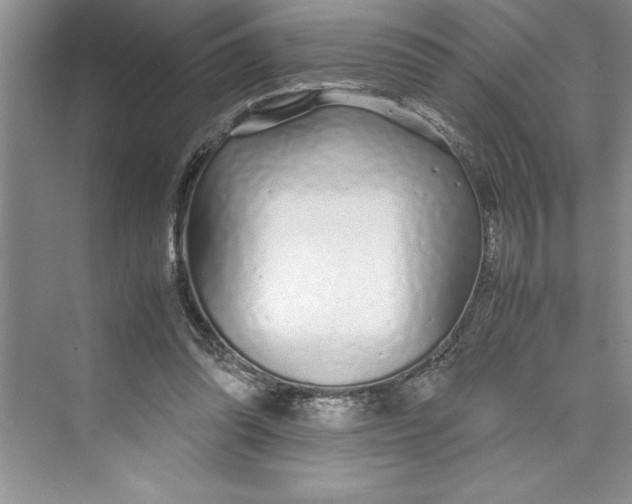 X0000075410302200609251051