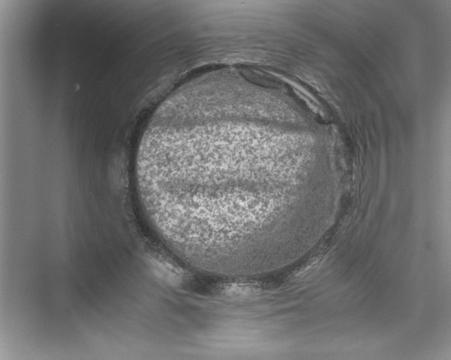 X0000075410303200609251051