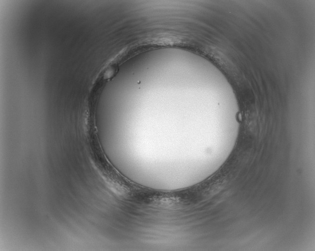 X0000075410304200609251051