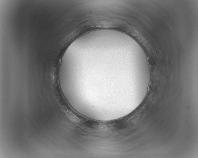 X0000075410305200609251051