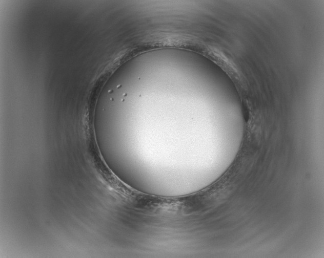 X0000075410306200609251051