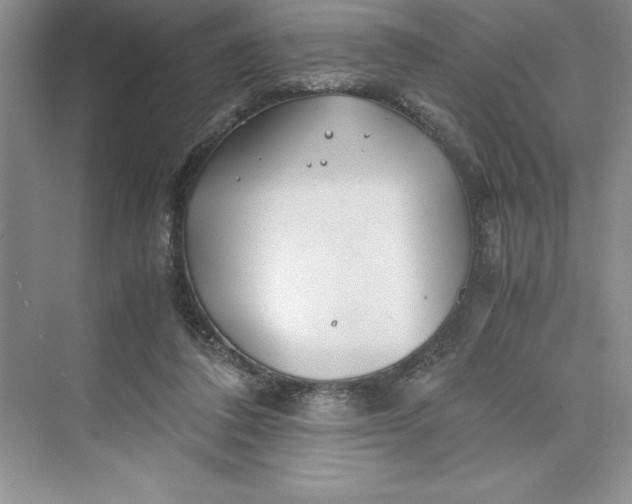 X0000075410308200609251051