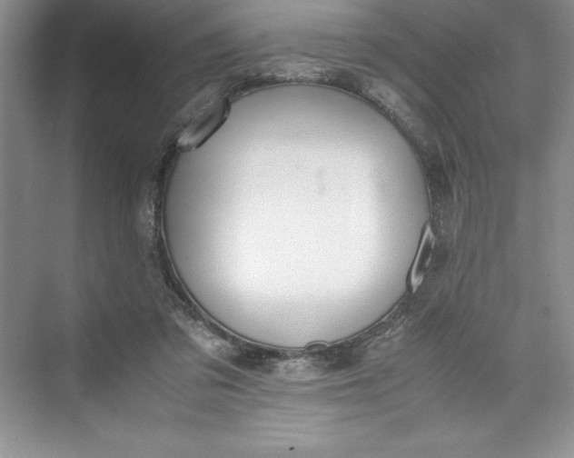 X0000075410309200609251051