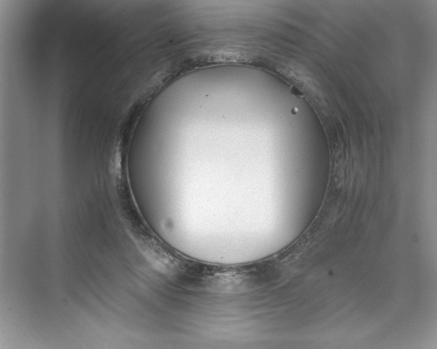 X0000075410310200609251051