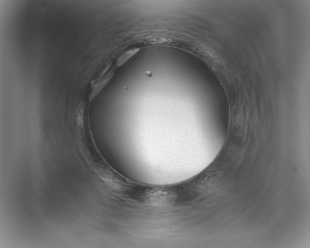 X0000075410315200609251051