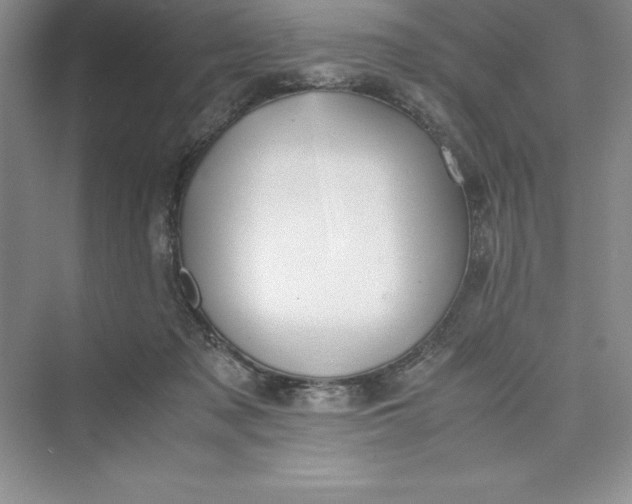 X0000075410317200609251051