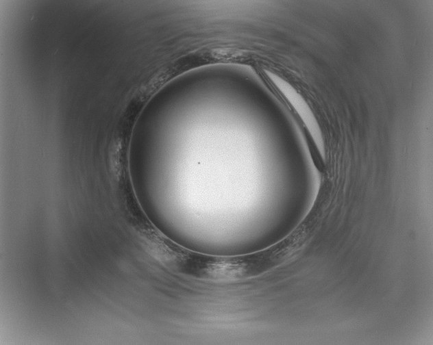 X0000075410319200609251051