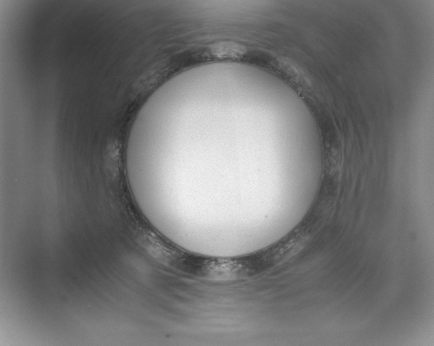 X0000075410321200609251051