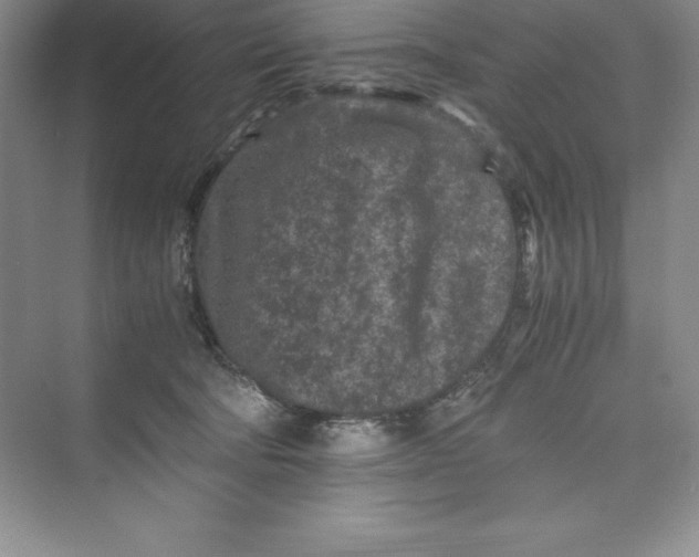 X0000075410322200609251051