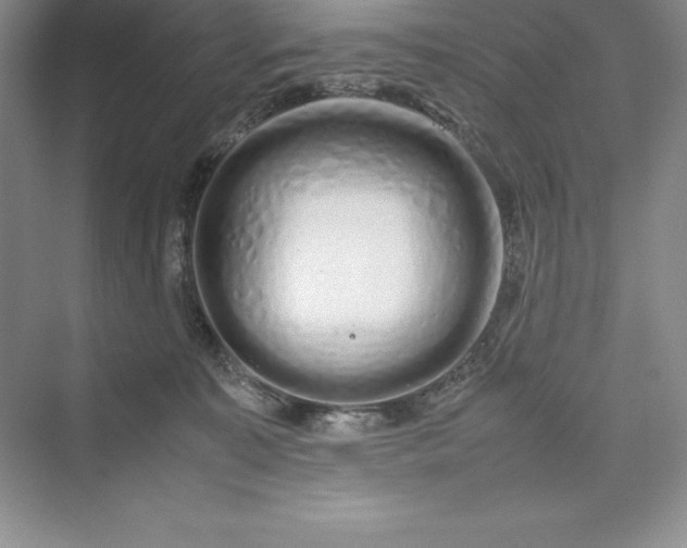 X0000075410323200609251051