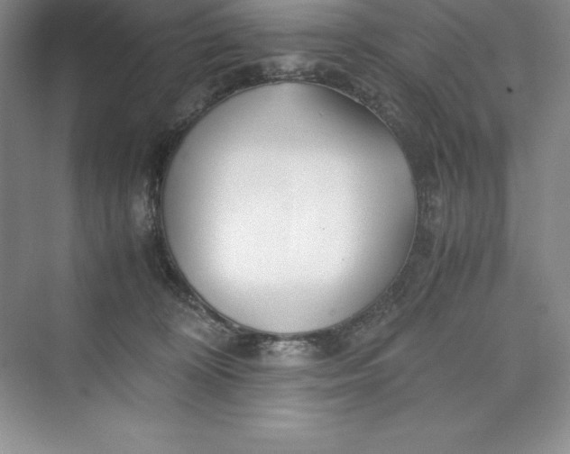 X0000075410324200609251051