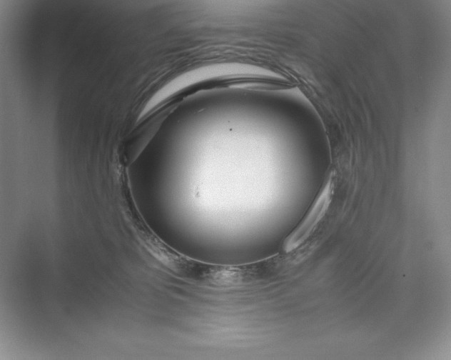 X0000075410325200609251051