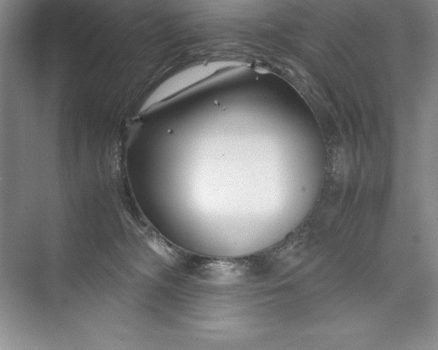 X0000075410326200609251051