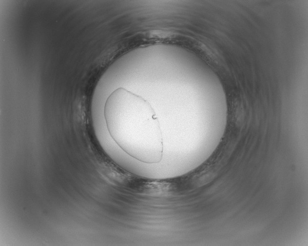 X0000075410328200609251051