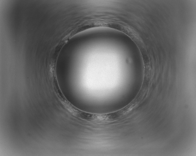 X0000075410329200609251051