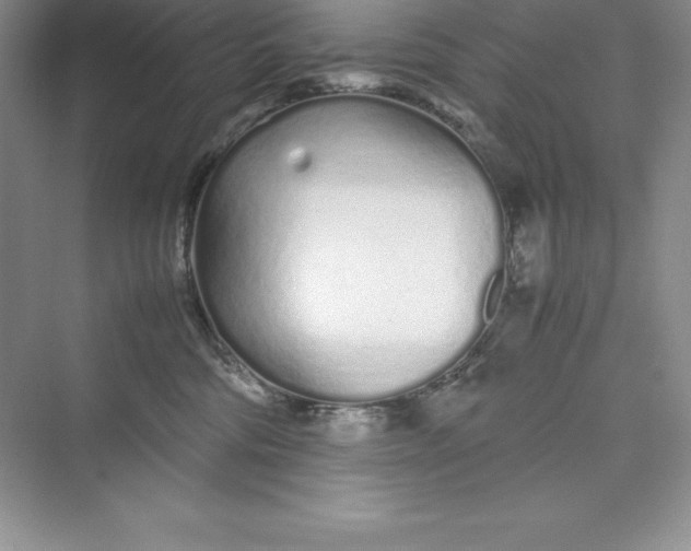 X0000075410330200609251051