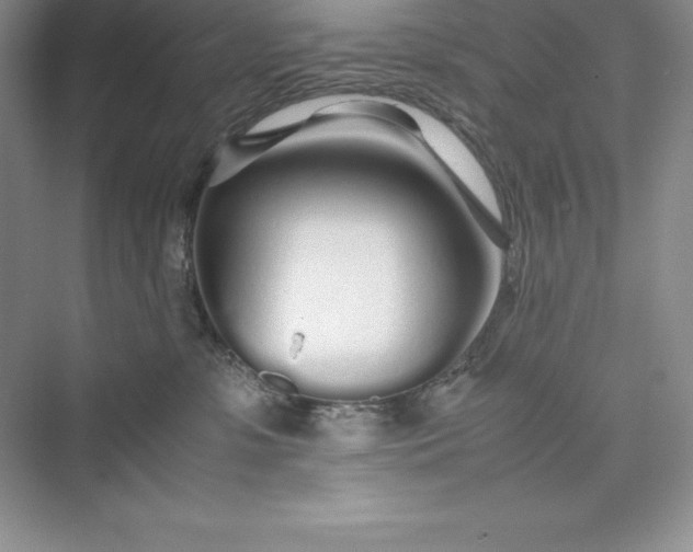 X0000075410331200609251051