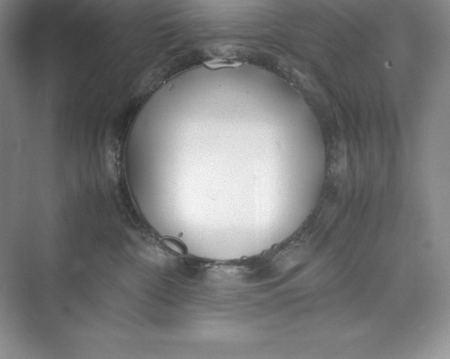 X0000075410332200609251051