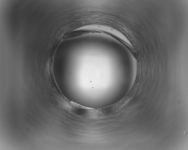 X0000075410333200609251051