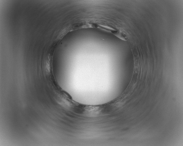 X0000075410334200609251051