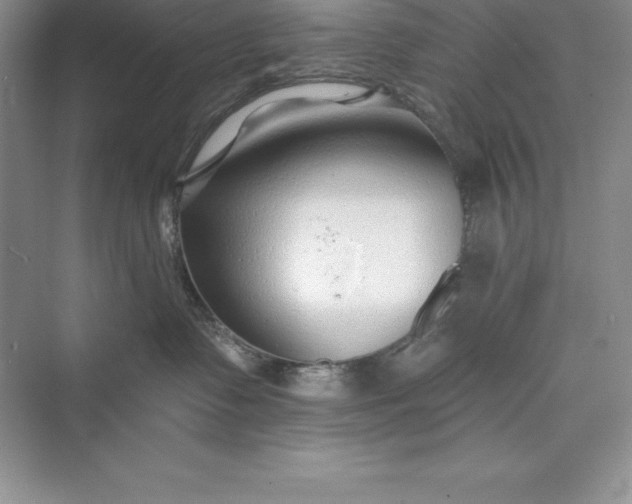 X0000075410335200609251051