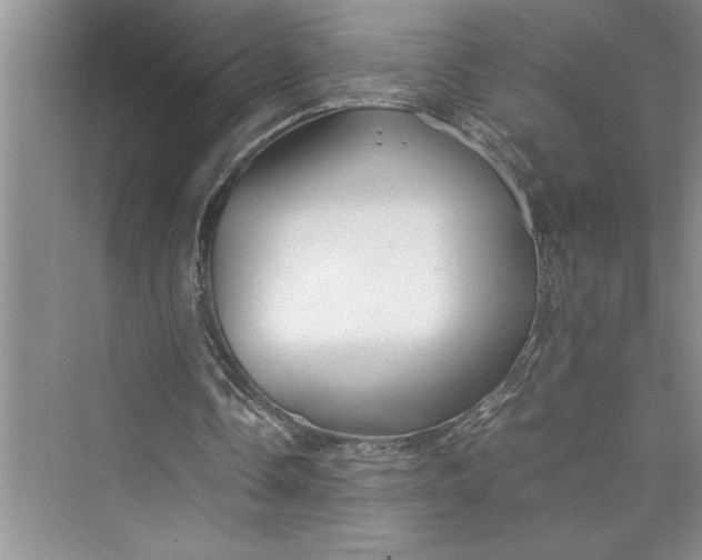 X0000075410338200609251050