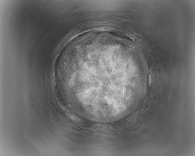 X0000075410339200609251050