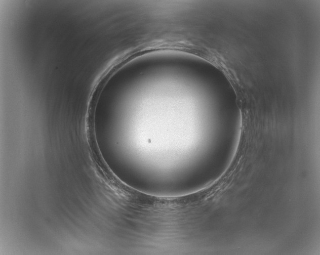 X0000075410340200609251050