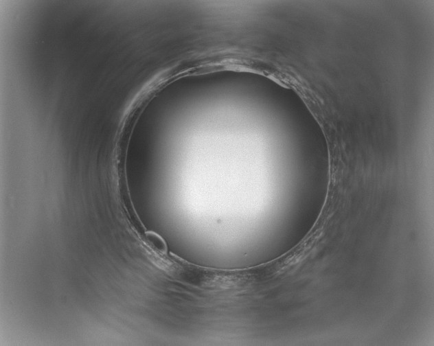 X0000075410341200609251050