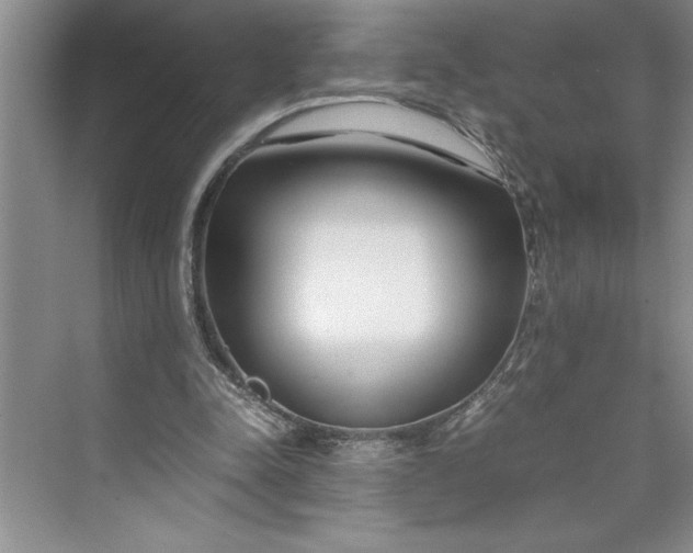 X0000075410342200609251050