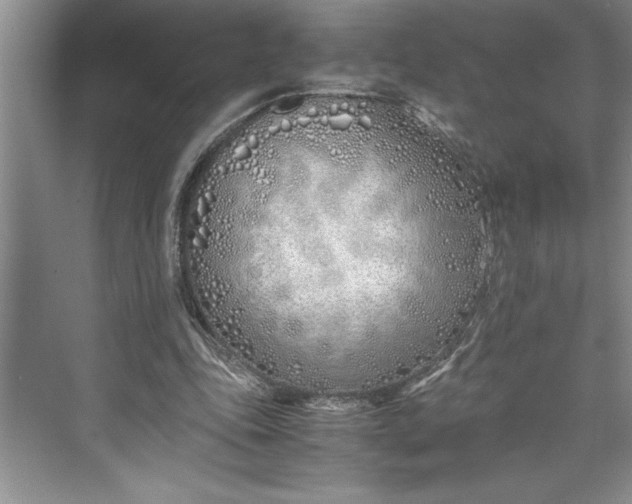 X0000075410343200609251050