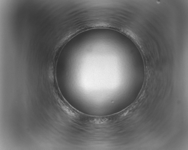 X0000075410345200609251050