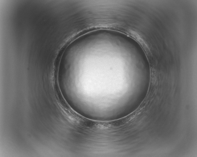 X0000075410346200609251050