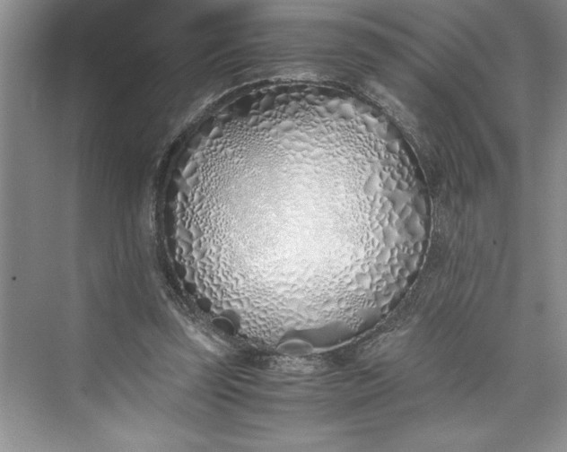 X0000075410347200609251050