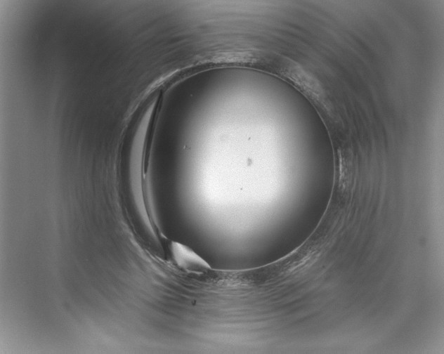 X0000075410348200609251050