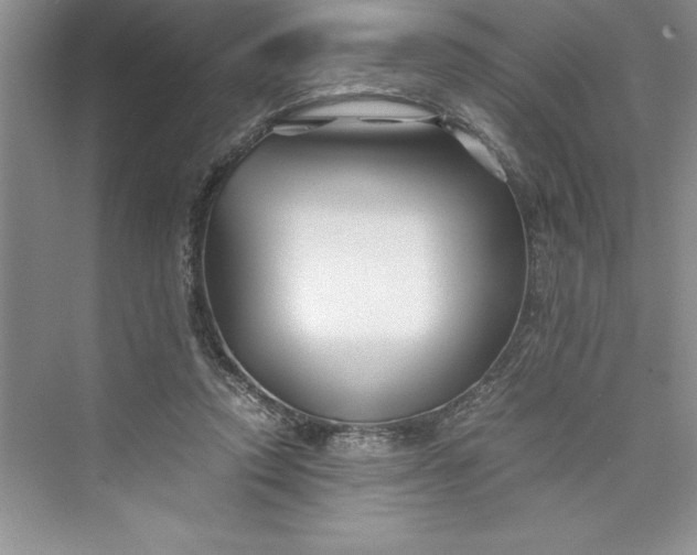 X0000075410354200609251050